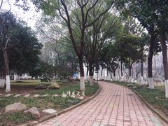 景点-汉水公园