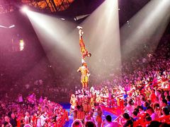 -广州长隆国际大马戏