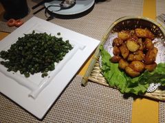 -素虎小呆鸟(西二旗店)