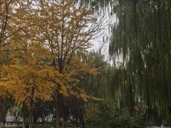 -丰台科技园生态主题公园