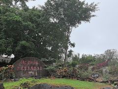 -七仙岭温泉国家森林公园