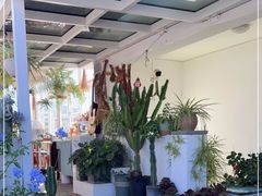 -唐咖精品咖啡(大理古城手冲店)