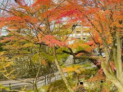 -三千院