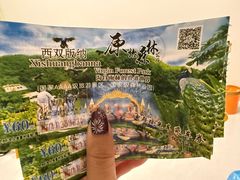 -西双版纳原始森林公园