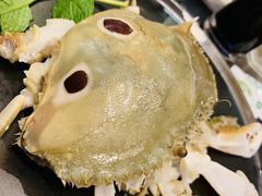 -莆鑫海鲜城(浏河店)