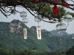 -六里坪国家森林公园