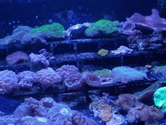 -趣陶陶艺手工坊(新世界百货重庆店)