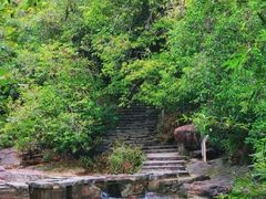 -广州白江湖森林公园