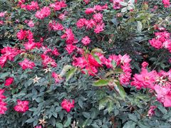 -人民公园(罗湖区)