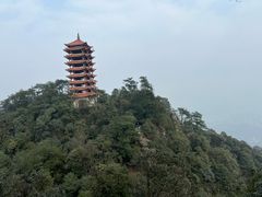 -缙云山景区