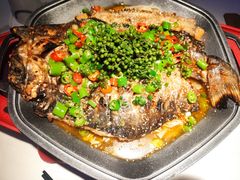 -马邦子·紫苏烤鱼(恒隆广场店)