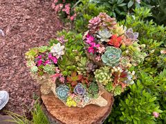 -武汉园博园(武汉自然博物馆)