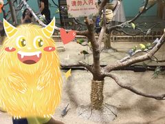 -上海大自然野生昆虫馆(东方明珠·爬宠昆虫探索中心)