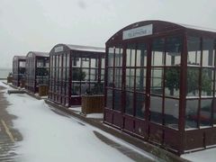 -梧桐餐厅(泉城路店)