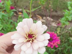 景点-上海长兴岛郊野公园