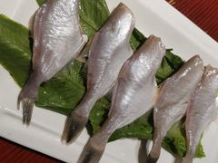 -黄家码头老火锅(解放碑旗舰店)