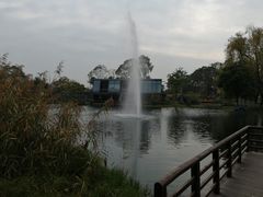 -成飞公园