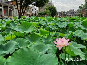 今天是2019年6月8日
