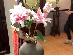 -山水茶艺馆·点心粤菜·30年老字号