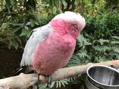 -南宫五洲植物乐园