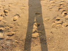 -日照灯塔风景区