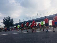 -宝安西湾红树林湿地公园