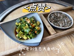 -老刘生态大鱼坊铁锅炖鱼(赛马场店)