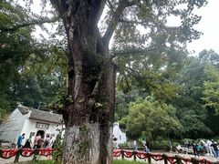 -三国赤壁古战场