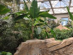 -忆江南·生态餐饮宴会酒店