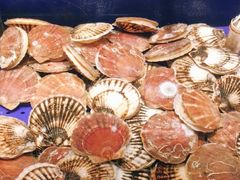 -高佳庄·舟山海鲜(海景旗舰店)