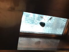 -汉唐宴长安食府