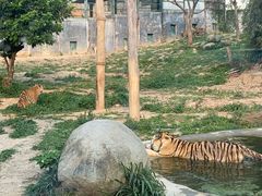 -泉州海丝野生动物世界