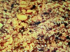 -清真·京华源铜锅涮肉(丰庆店)