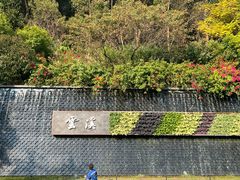 -云溪植物园