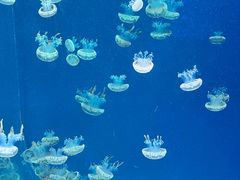 -西安华夏文旅水世界