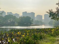 -新江湾城公园
