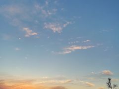 -秦岭风景区