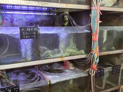 -凤城康记饭店