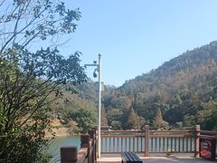 -桃花岭景区