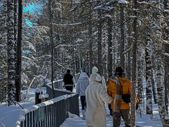 -峡谷浮石林景区