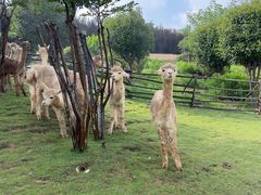 -南京金牛湖风景区