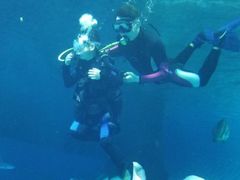 -北戴河圣蓝海洋公园