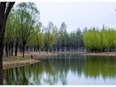 -东郊湿地公园