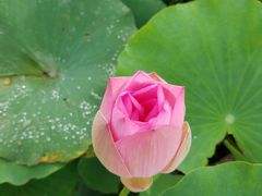 -南戴河国际娱乐中心