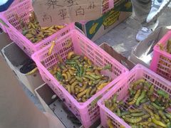 -大连双兴商品城