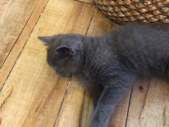 -有七甜品(恒达产业园店)