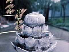 -西安大兴善寺