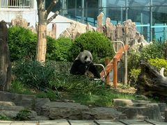 -大连森林动物园