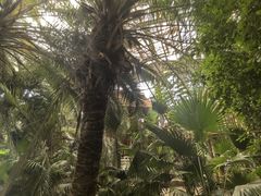 -呀路古热带植物园