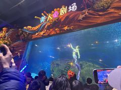 -太奥幻太奇海洋馆